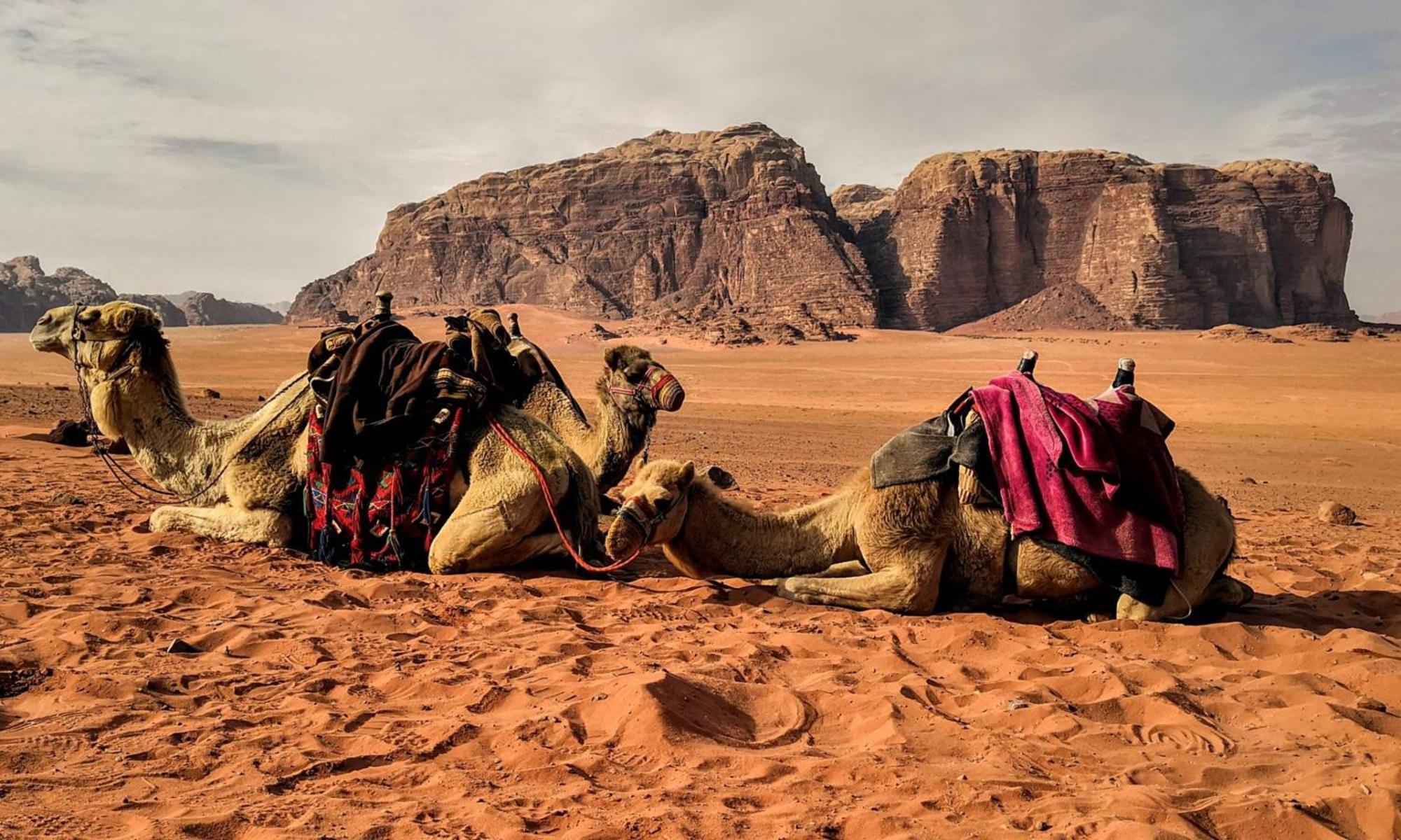 Wadi Rum Caeser Camp Hotel Exterior photo